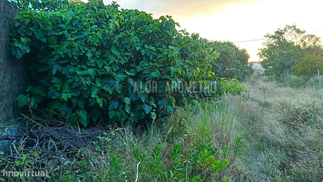 Terreno Urbano em Stº António da Charneca - Barreiro-7