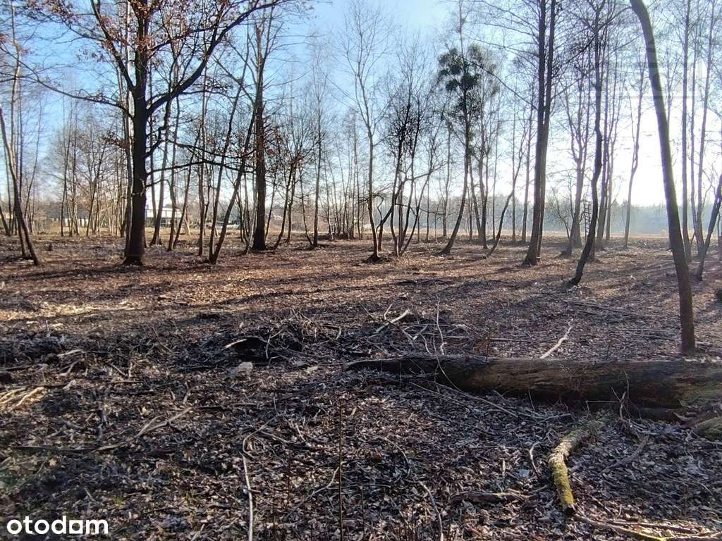 Działka budowlana Mościska 5303m2 - Pełny obrazek: 5/5