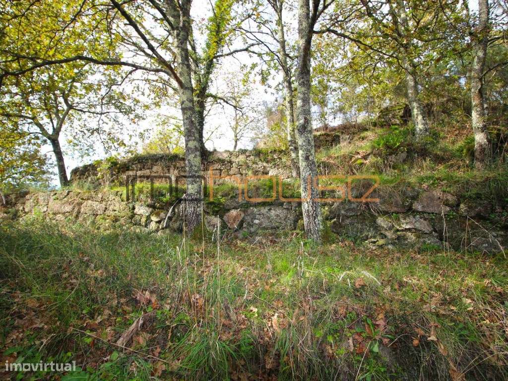 Quinta isolada - Amarante-20