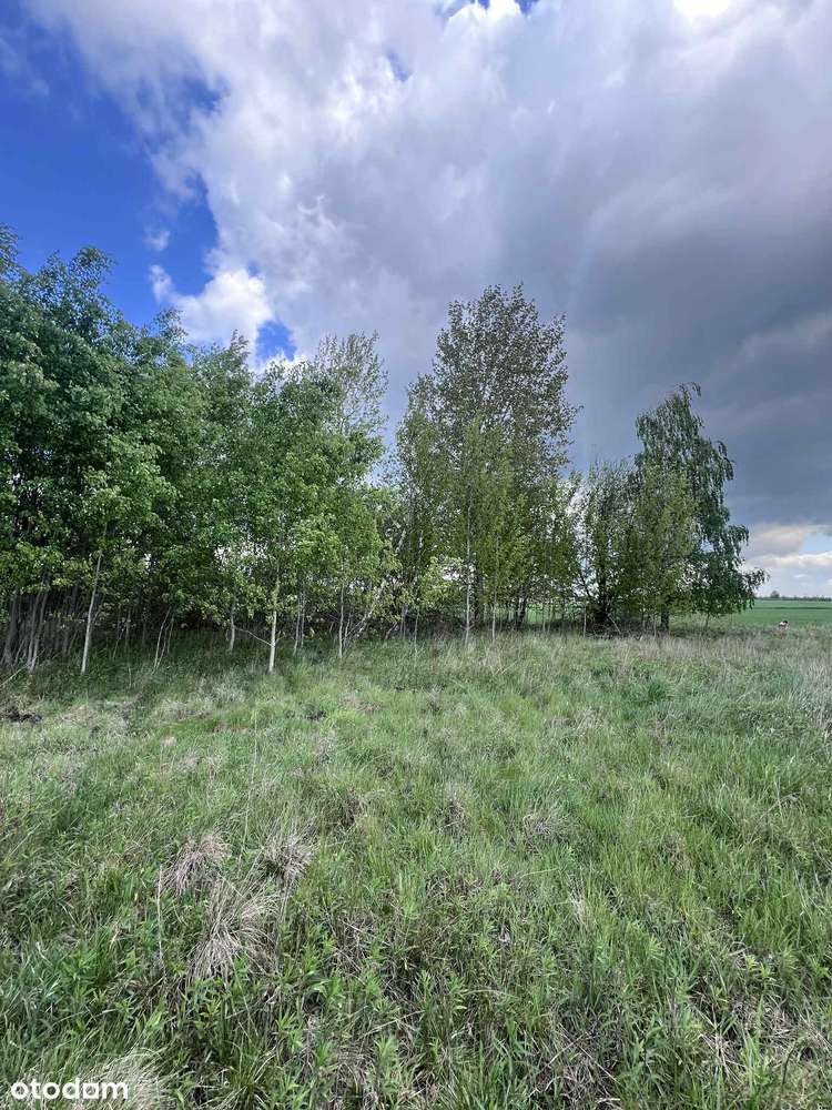 Działka w Krakowianach 1500 m2 - okolica lasu