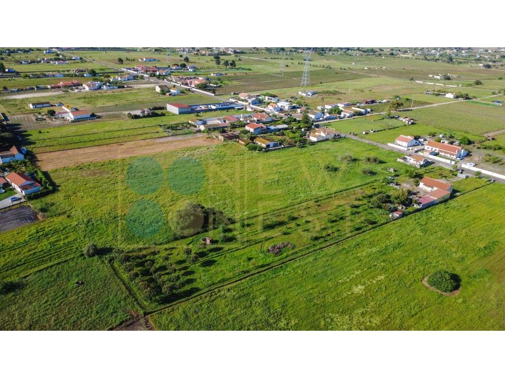 Construa duas casas num terreno único de 12.900m² em Arraiados-16