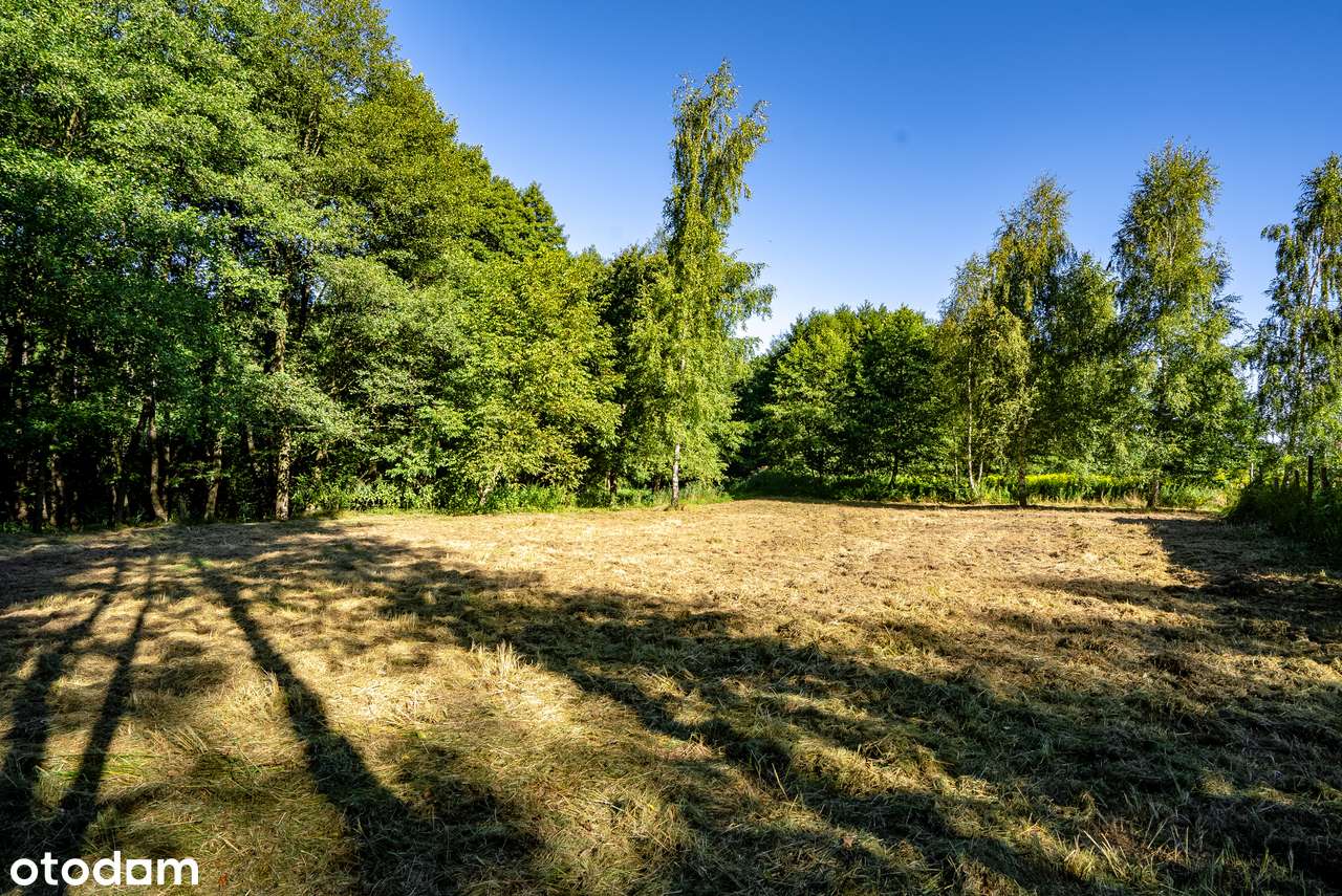 Działka w Rogożnej z mediami i pięknym widokiem na las.-4