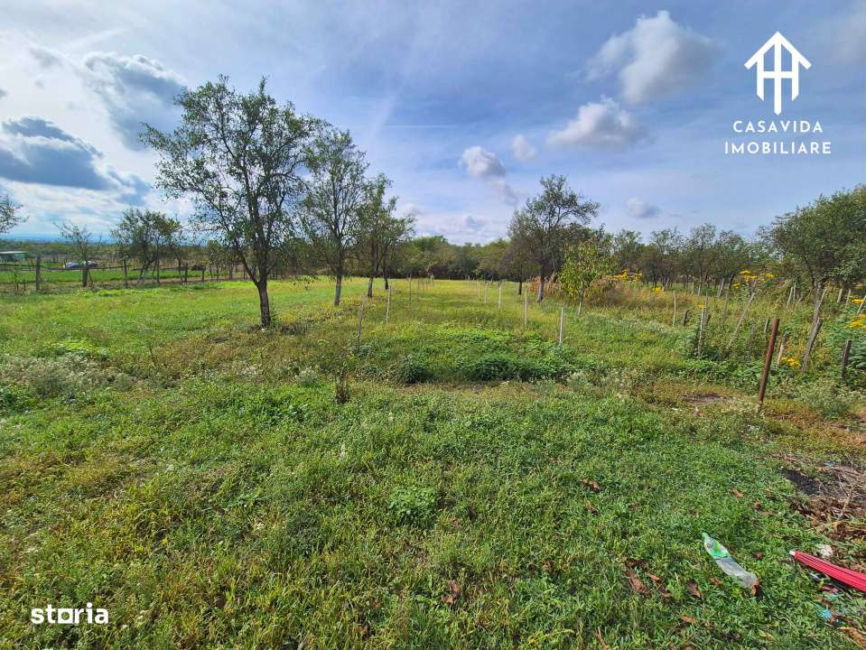 Casa de vanzare in Ciresu-13