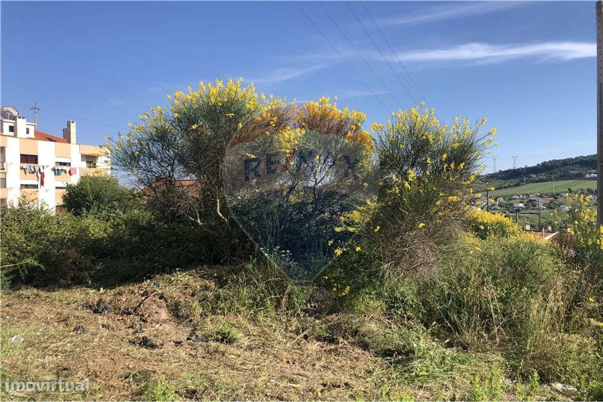 Terreno  para venda - Grande imagem: 4/7