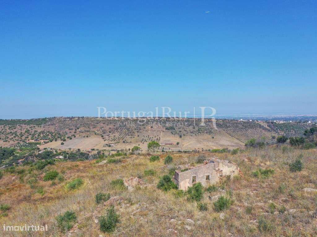 Propriedade na Arrábida com 40 hectares, com projeto aprovado e vis... - Grande imagem: 5/16