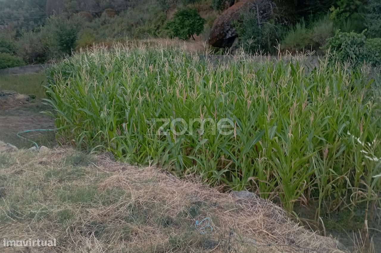 Terreno Urbano com baixo construído, com bom acesso e boa localizaç... - Grande imagem: 5/6