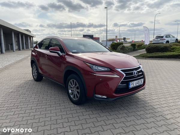 Lexus NX 300h - 2