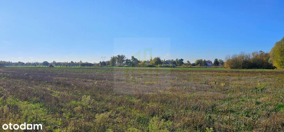 Piękna działka w Bieniewicach 1600 m2. - Pełny obrazek: 4/5