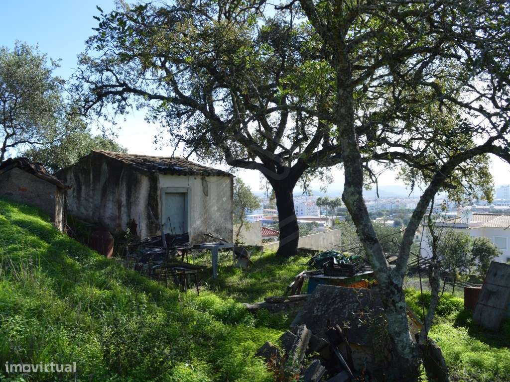Lote de terreno com uma pequena ruína térrea, São Brás de Alportel,... - Grande imagem: 3/32