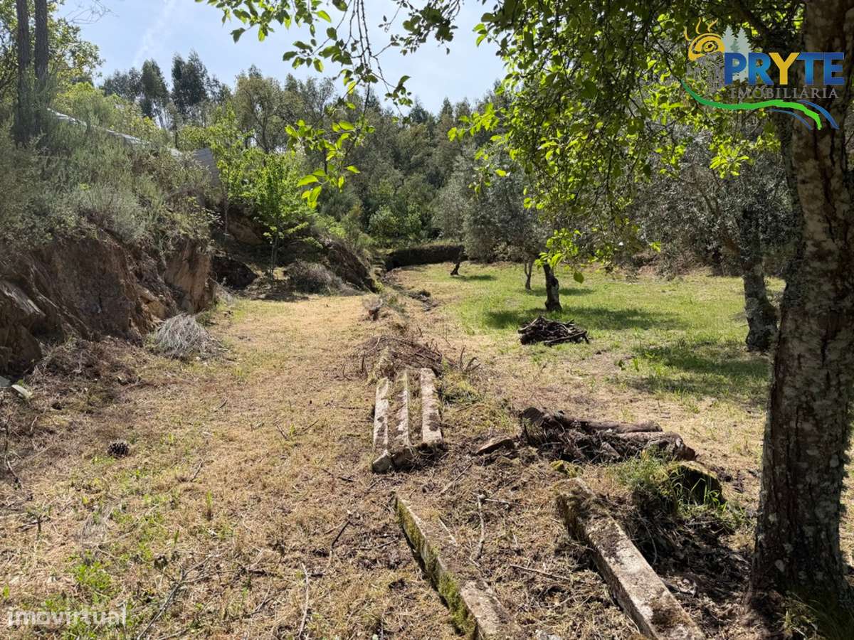 Terreno com uma ruína não registada a 6 quilómetros da Sertã-6