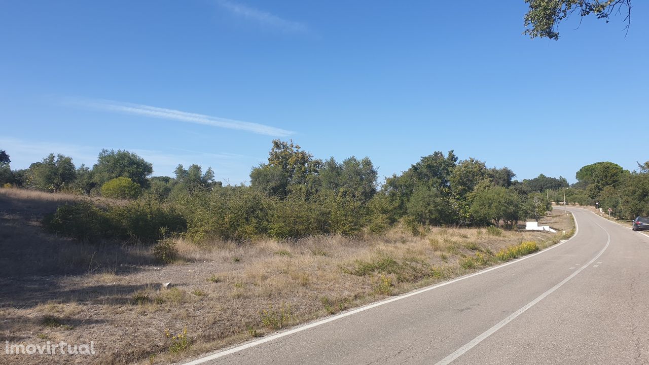 Terreno Rustico em SOUDOS Torres Novas