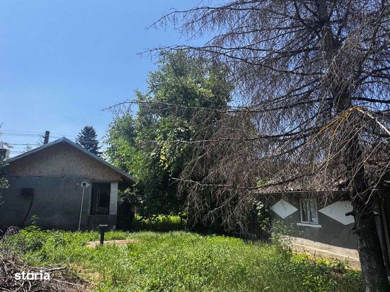 Casa + Teren ieftin, zona superba langa Bucuresti - Imagine principală: 4/8