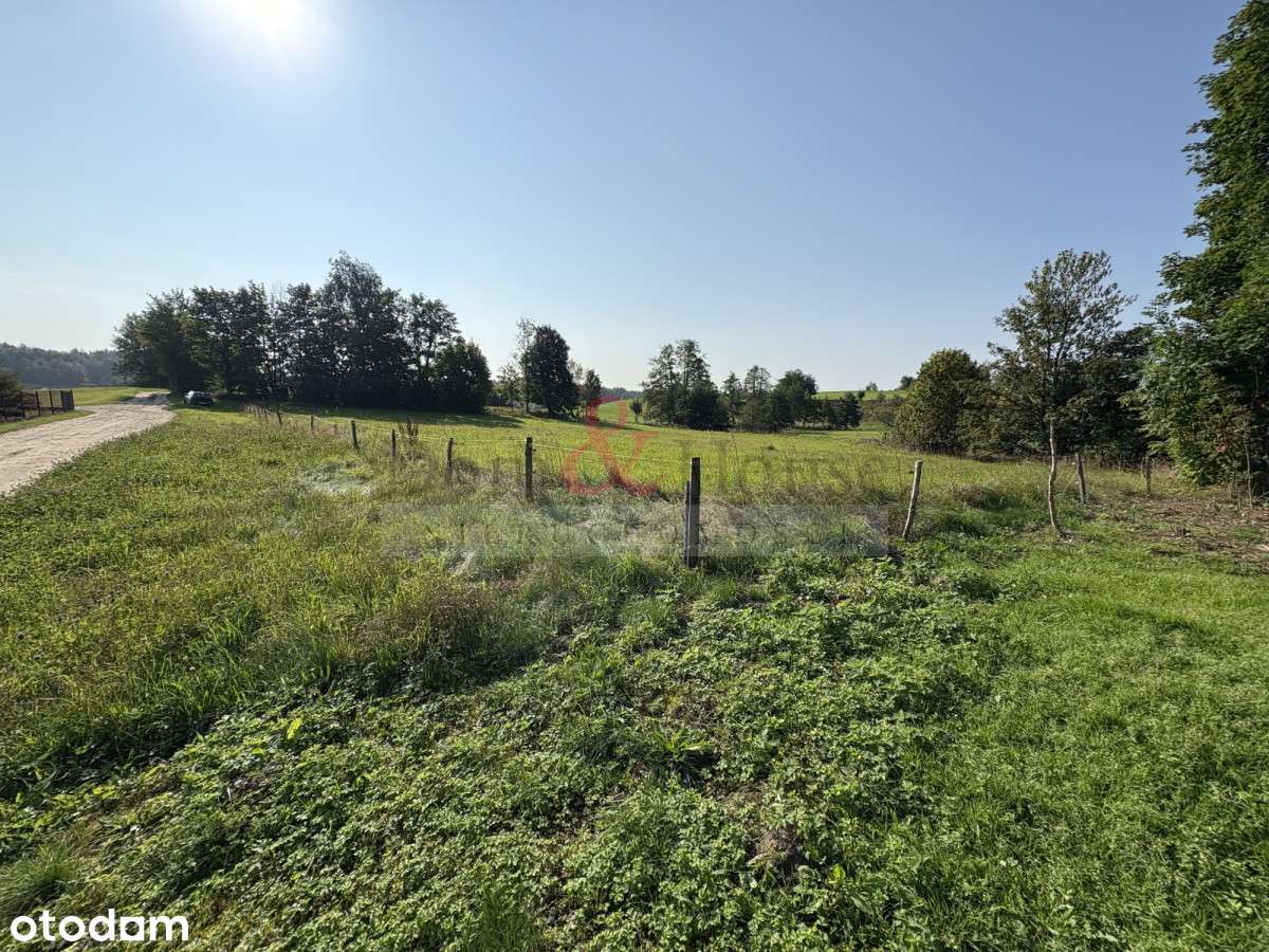 Uzbrojona działka z Mpzp w pięknej okolicy - Pełny obrazek: 5/8