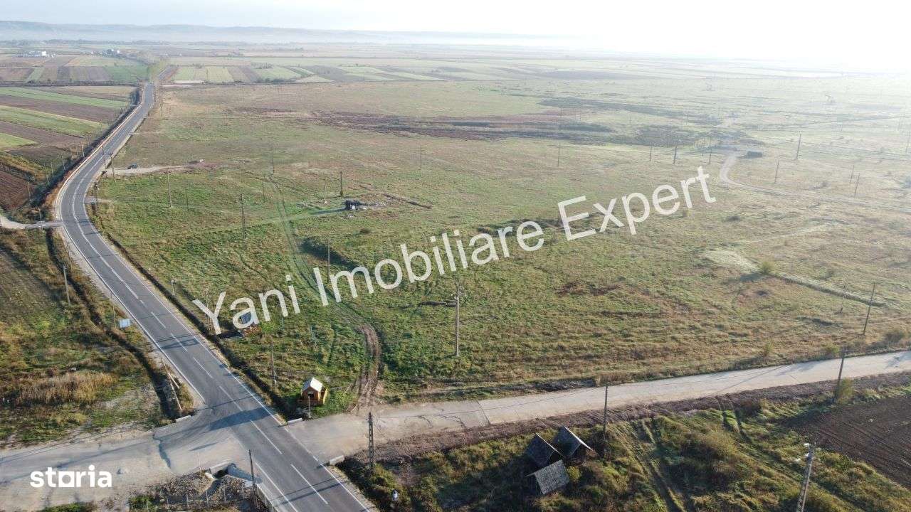 - Loturi teren lângă drumul expres Pitești-Craiova și A1 - Imagine principală: 5/20