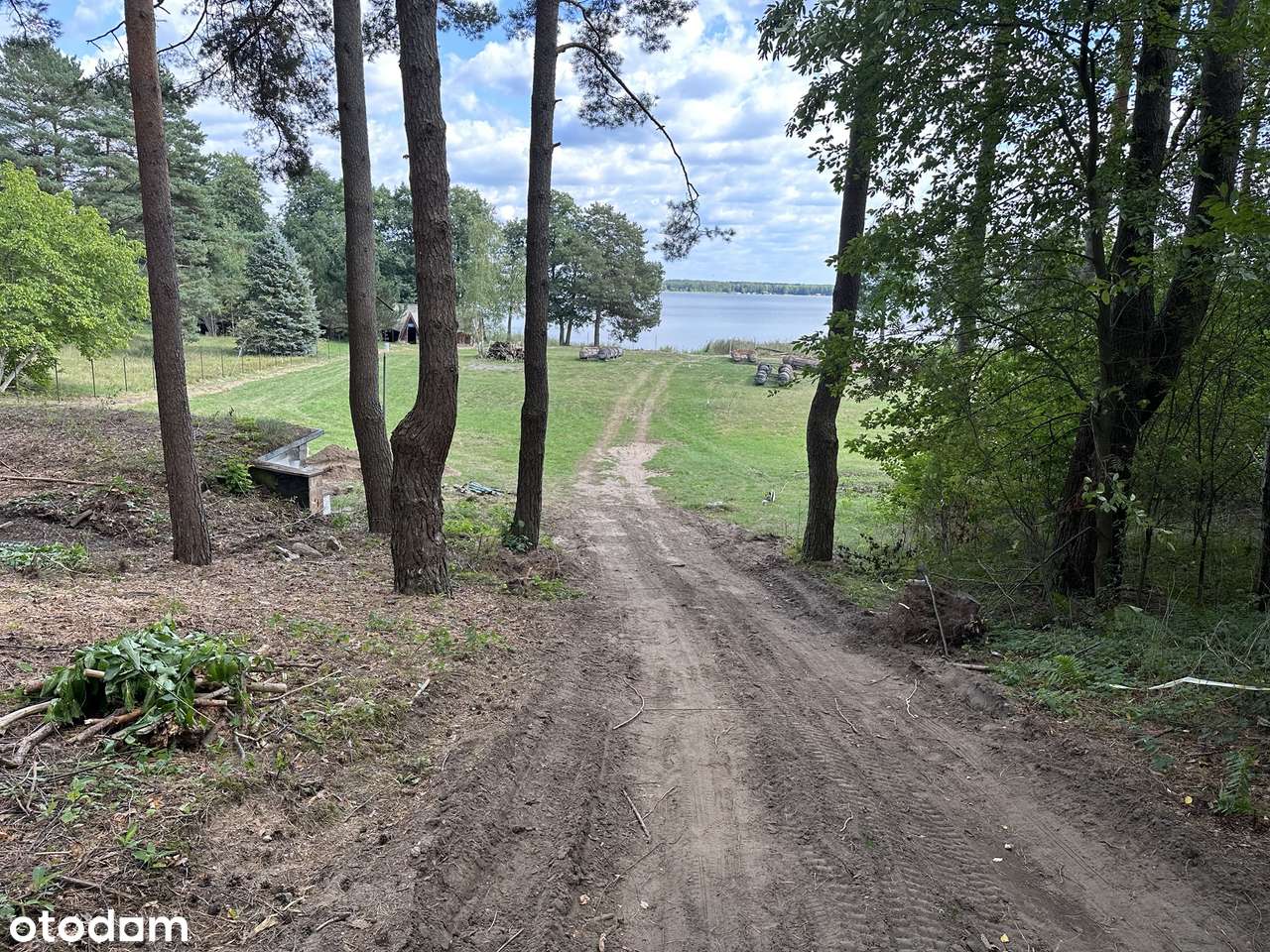 Narty - działka z linią brzegową jeziora Świętajno - Pełny obrazek: 4/7