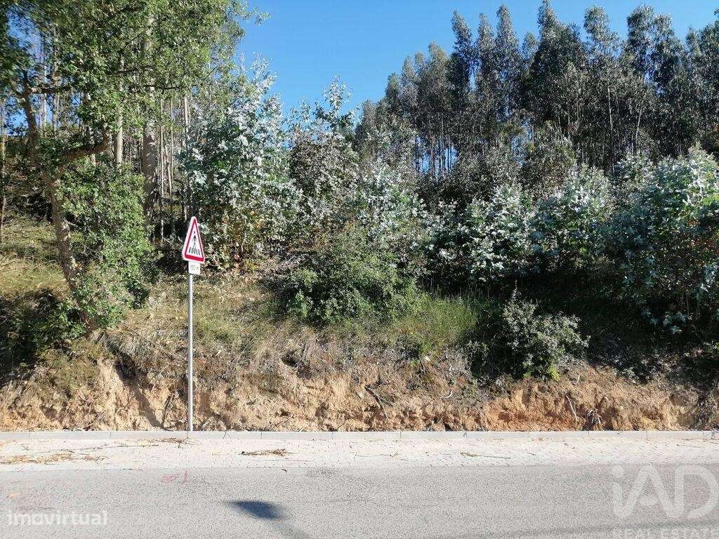 Terreno em Leiria, Pousos, Barreira e Cortes de 1634,00 m2 - Grande imagem: 4/16
