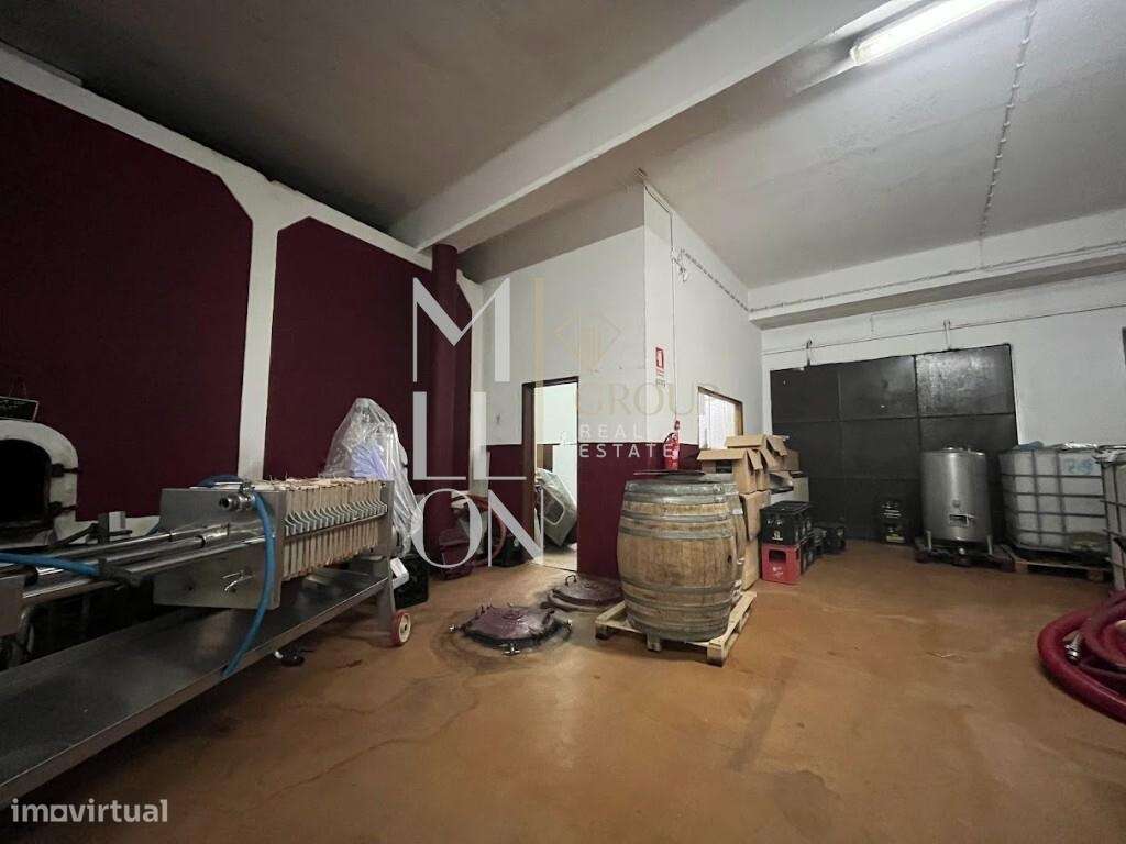 Armazém/Adega com 389 m2 em funcionamento na atividade vinícola – Alme - Grande imagem: 3/10
