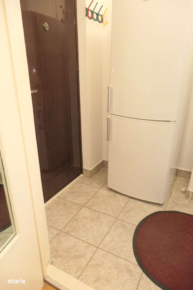 Garsonieră confort 1, mobilată si utilată, zona Vlaicu - Lebăda, et. 1-1