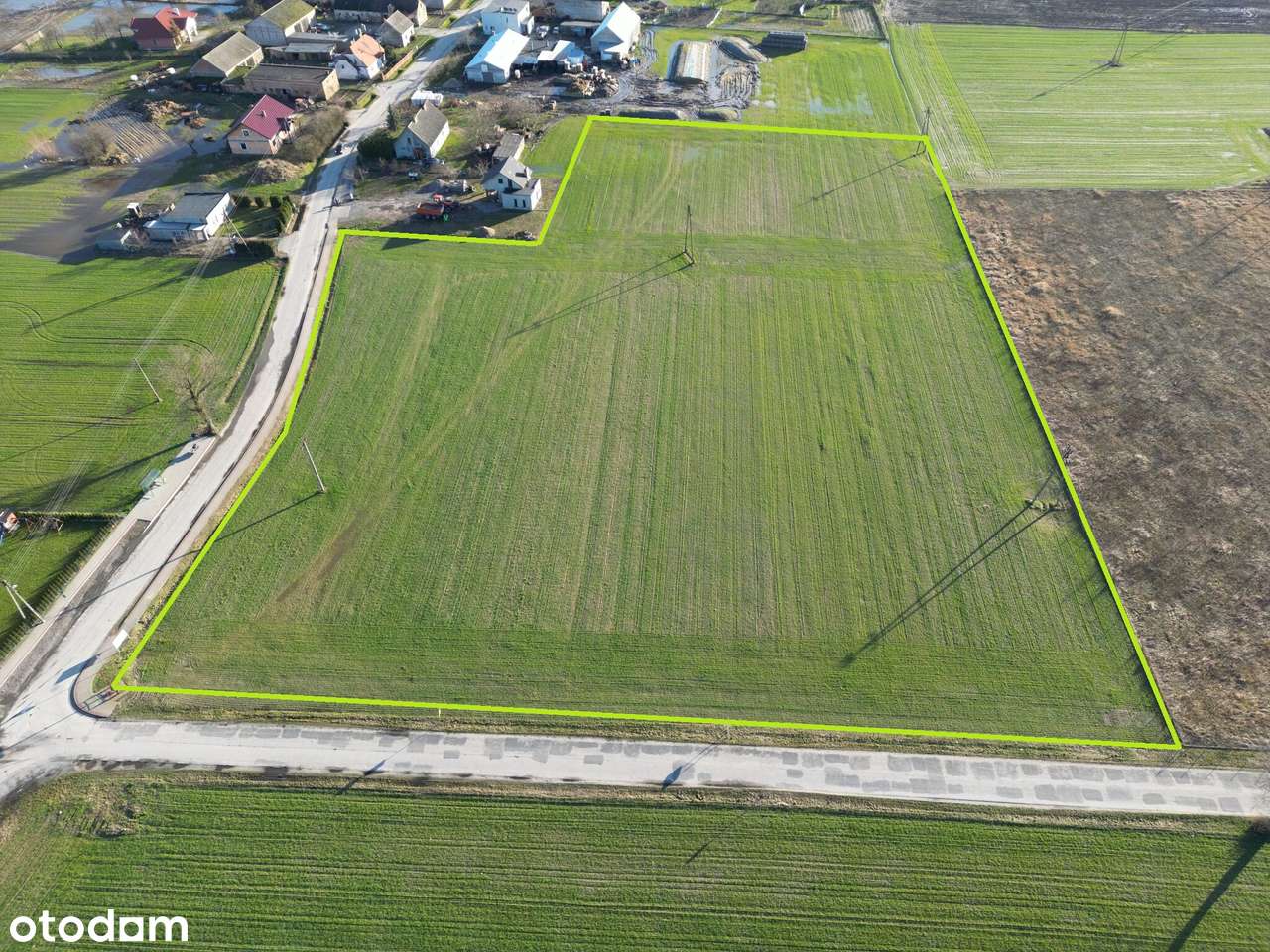 Działka AG 1,79 ha POKLATKI (gm. Kleszczewo) - Pełny obrazek: 4/8