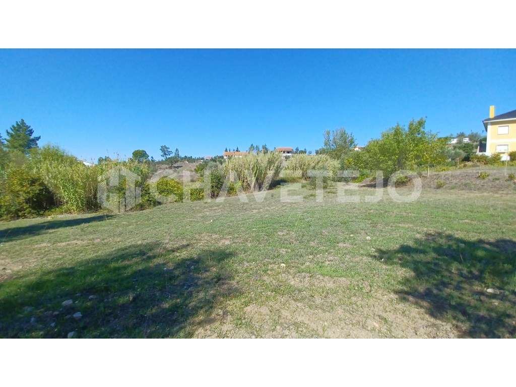 Terreno com possibilidade de construção perto de S. Pedro de Tomar. - Grande imagem: 4/8