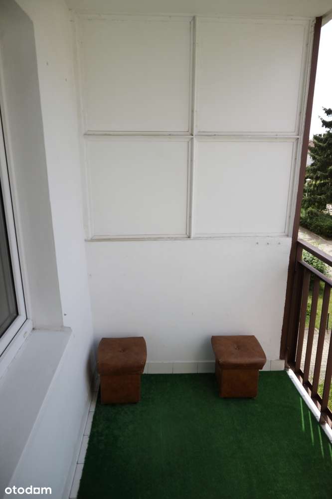 Grunwald ul.Międzyborska dwa pokoje do wynajęcia , balkon , piwnica - Pełny obrazek: 4/14