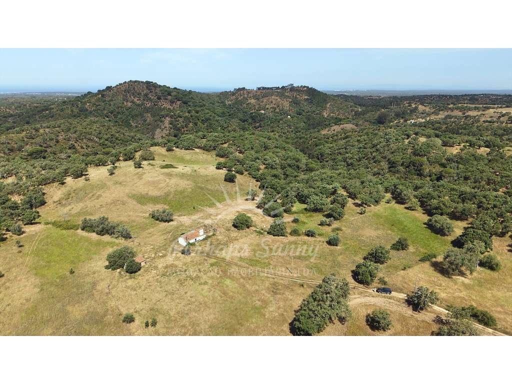 Terreno Misto para construção de Habitação ou Turismo - Melides-21