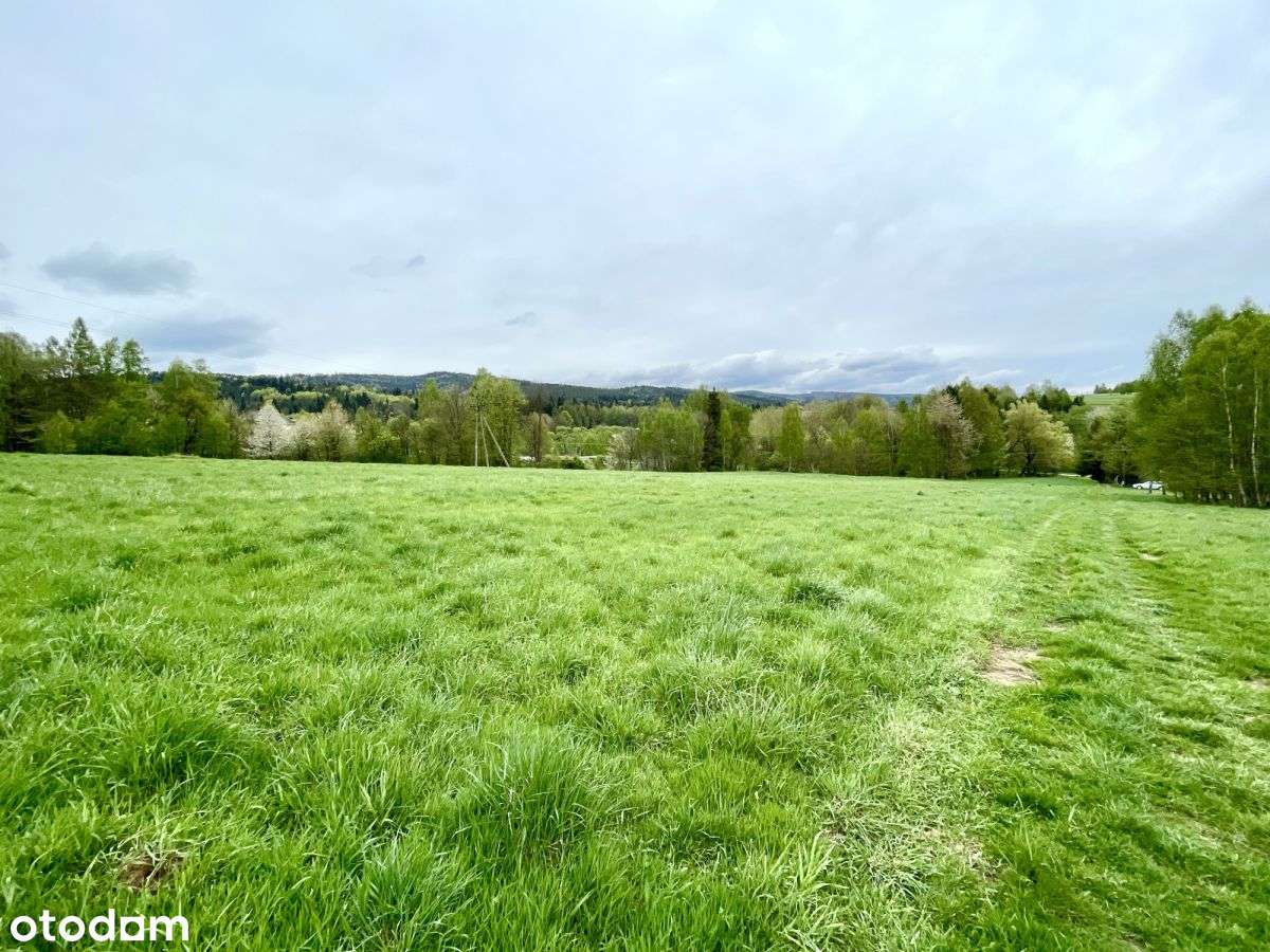 Atrakcyjna działka rolna - Gilowice k. Żywca - Pełny obrazek: 5/14