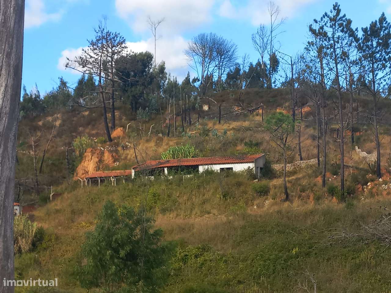 Moradia T9+ em Peral com terreno amplo - Grande imagem: 5/8