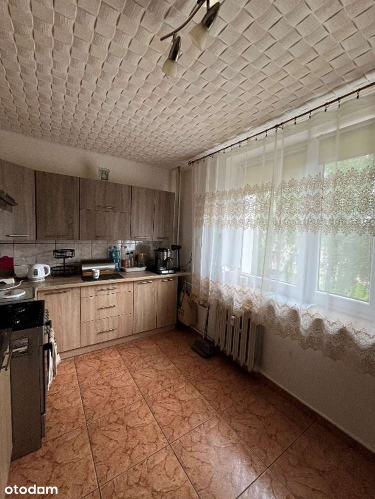 Międzyrzec Podlaski, Udział 1/2 w lokalu, sprzeda syndyk-4