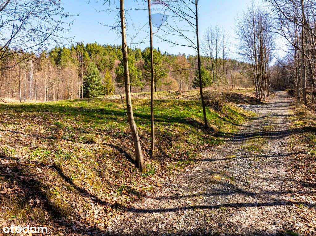 Działka Z Pozwoleniem Na Budowę Domku W Stróży. - Pełny obrazek: 4/18