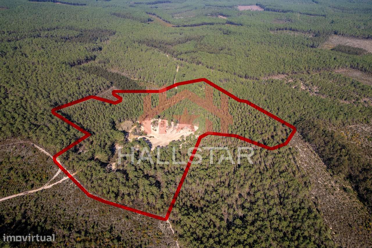 Terreno Florestal / Pinhal / Área Total de 59.400m2 / Nazaré - Grande imagem: 5/28