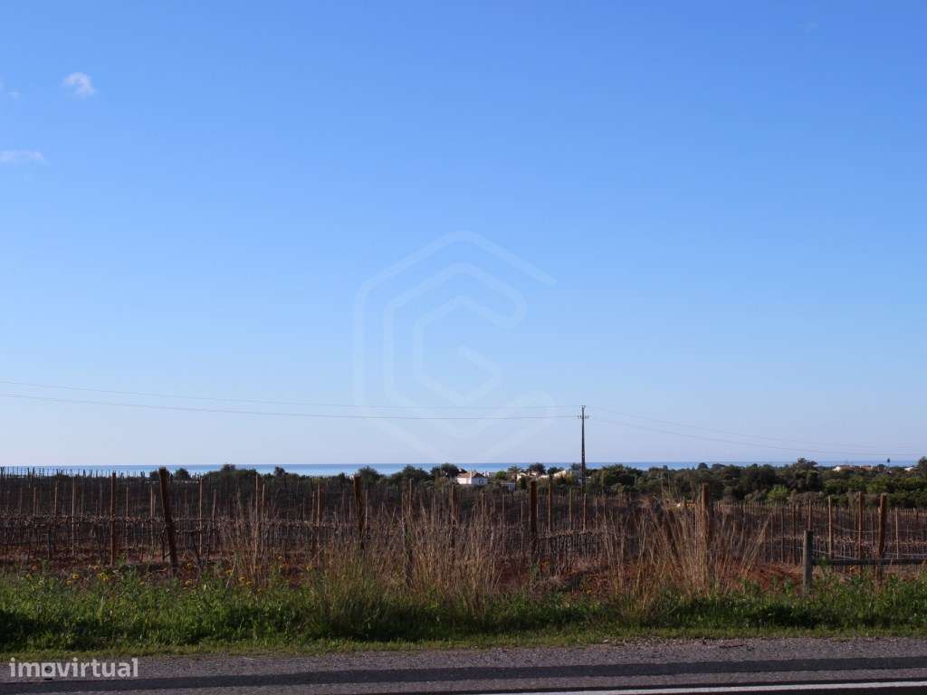 Terreno misto com enorme potencial de construção, Tavira, Algarve - Grande imagem: 4/11