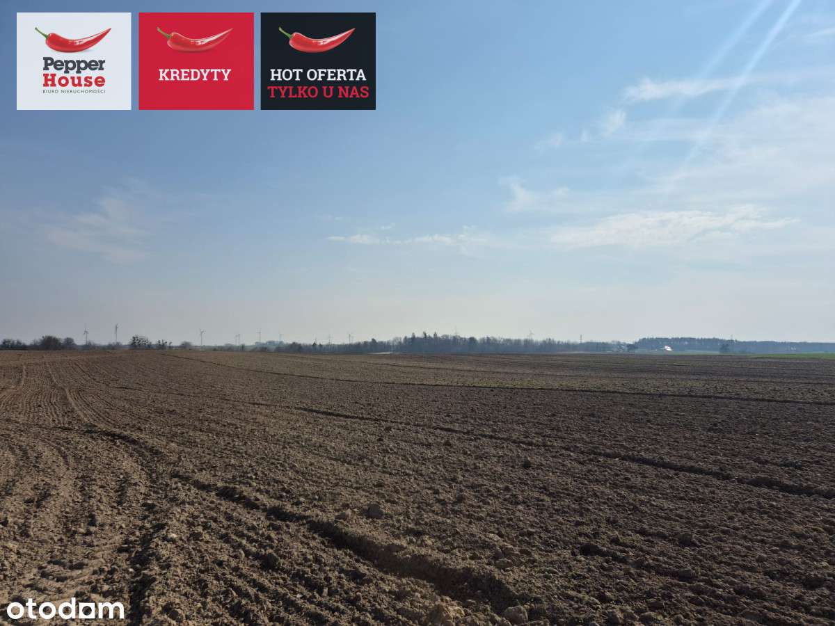 Zamieszkaj 3 km od Malborka, 3 min. Od rzeki Nogat - Pełny obrazek: 5/10