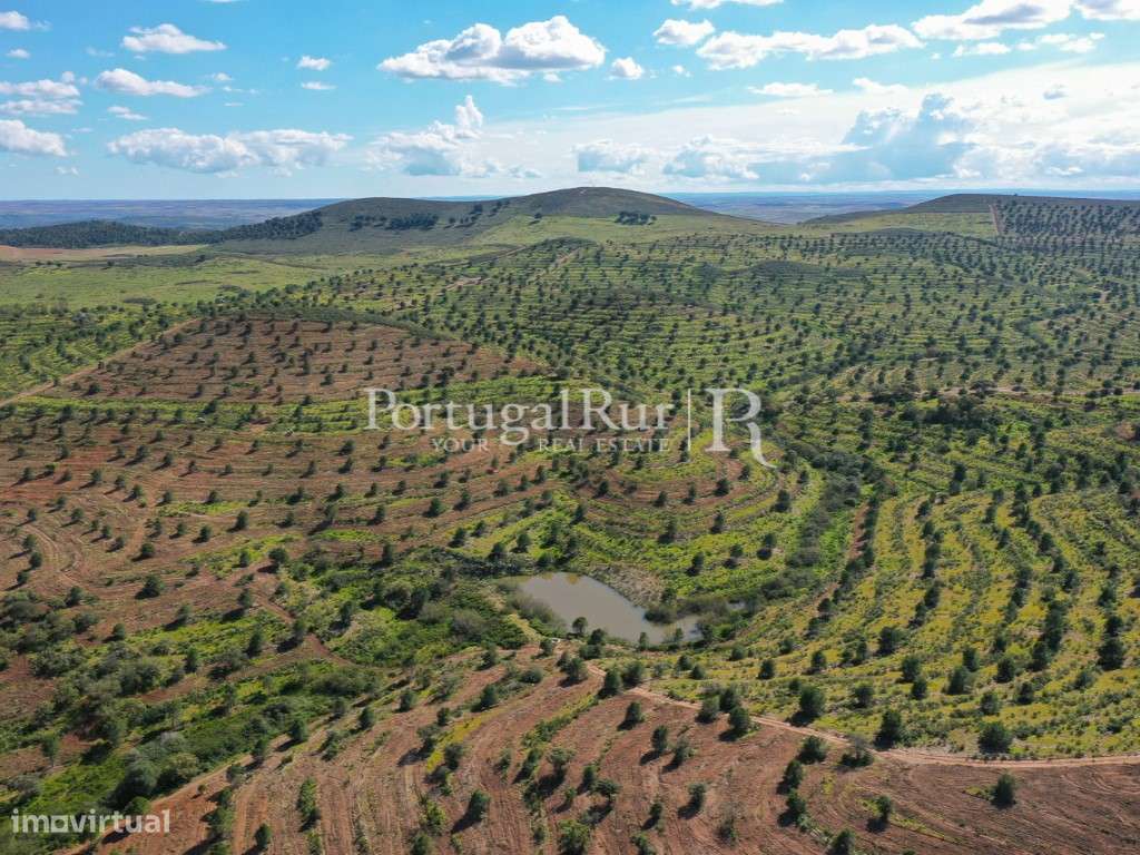 Herdades de Caça com 1300 Hectares, junto do rio Guadiana-13