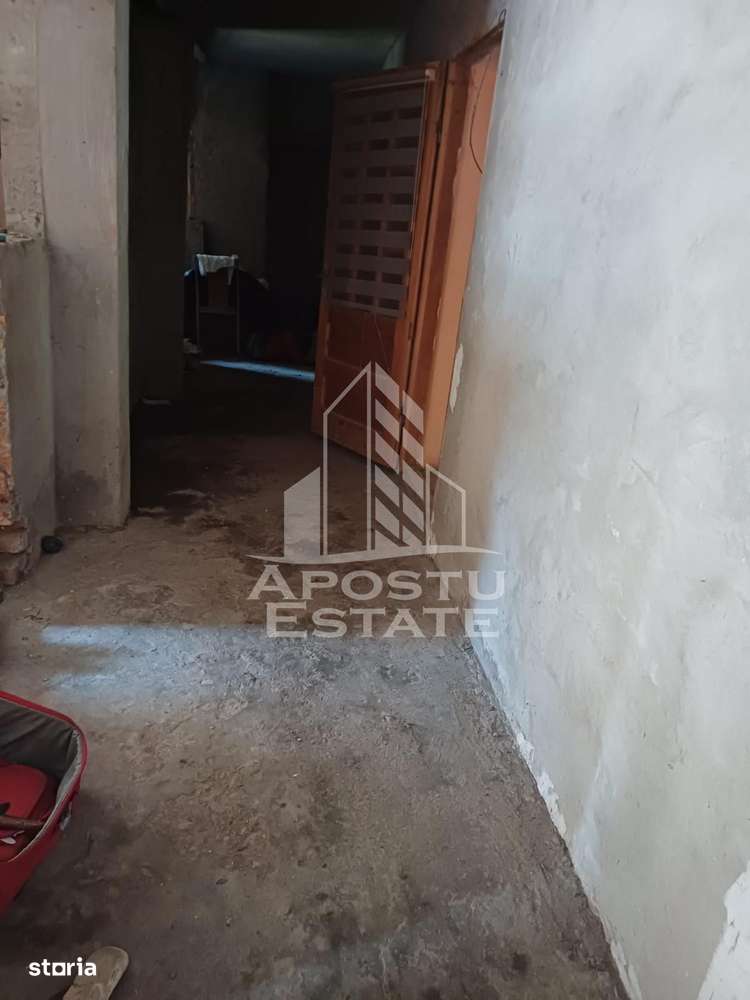 Casa individuala in Cruceni ,la granita cu Serbia - Imagine principală: 5/18