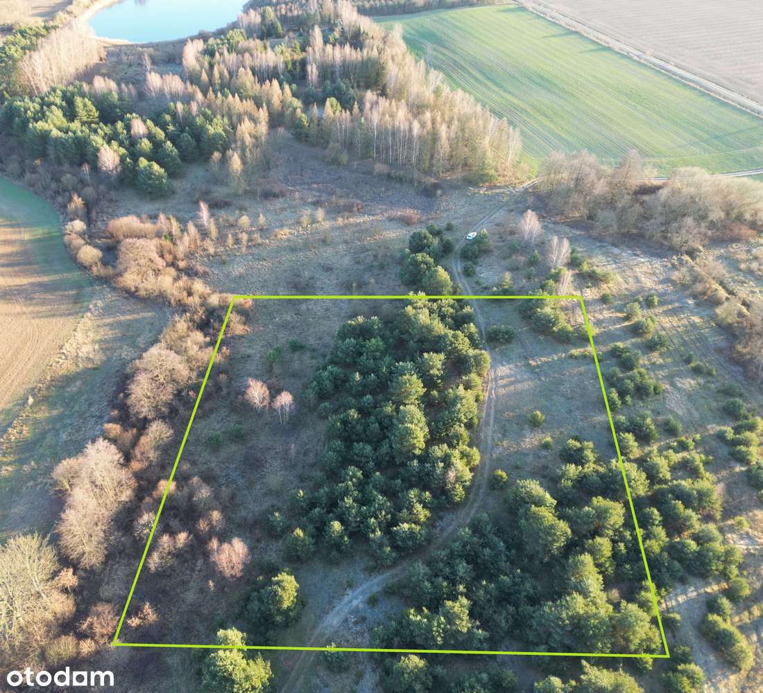 Działka rolna 10140 m2 Nienawiszcz gm. ROGOŹNO-1