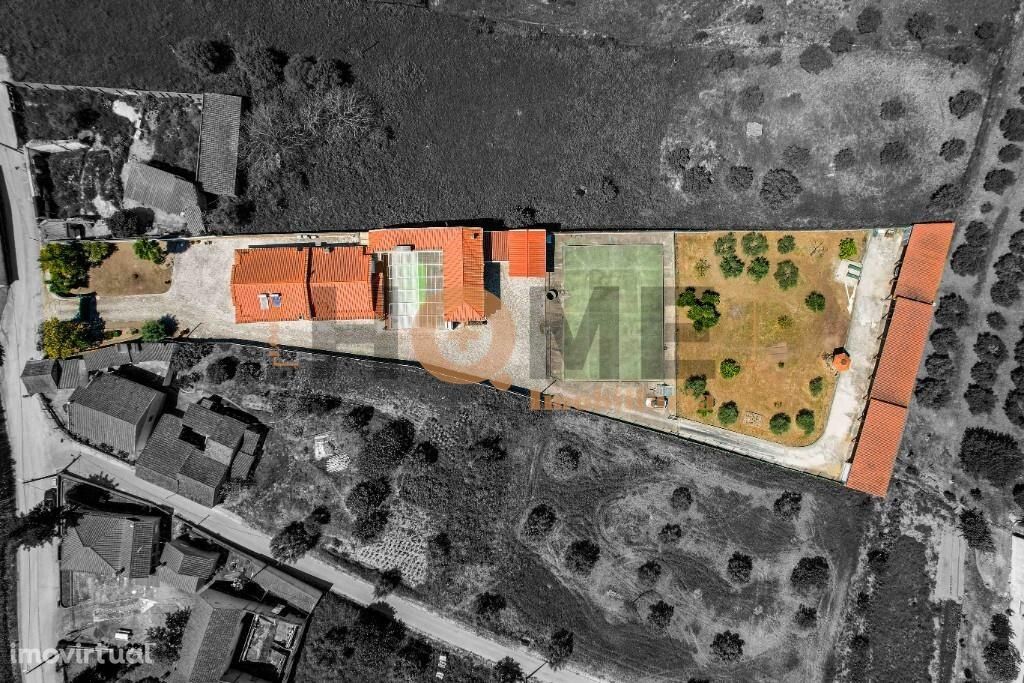 Vila Palmeira - Propriedade com 4926 m2, T4 a 20 min de Santarém