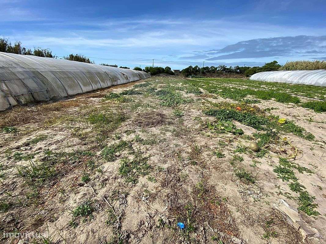 Terreno  para venda - Grande imagem: 2/10