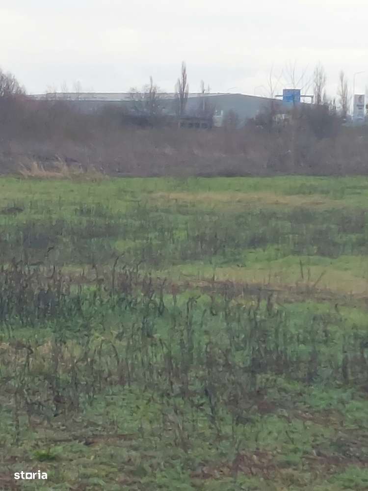 Teren industrial Borș - aproape de centura Borș 2-2