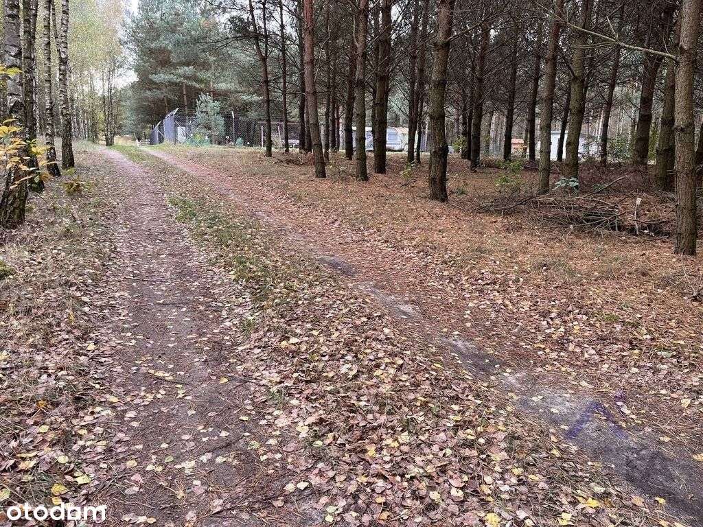 Działka, 2 303 m², Sosnowo - Pełny obrazek: 5/7