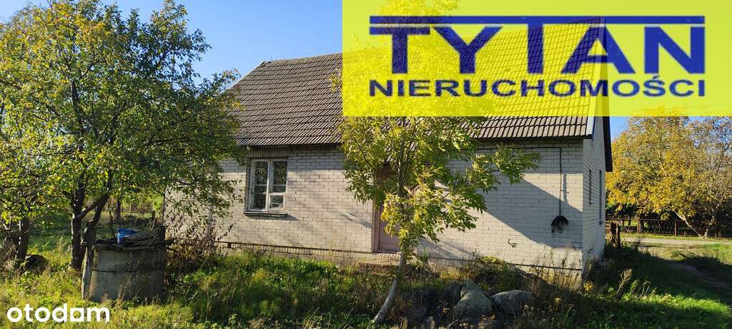 729/18682/ODS - Pełny obrazek: 5/17