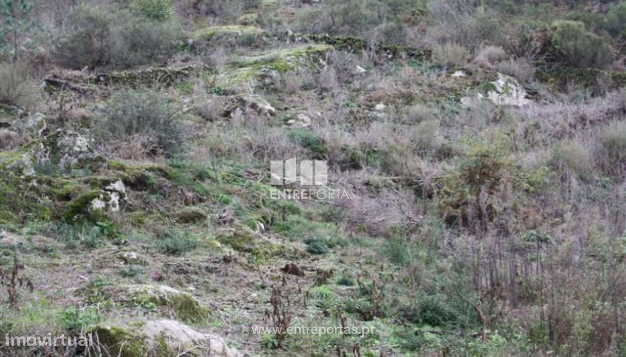 Terreno para venda, Azevedo, Caminha - Grande imagem: 3/6