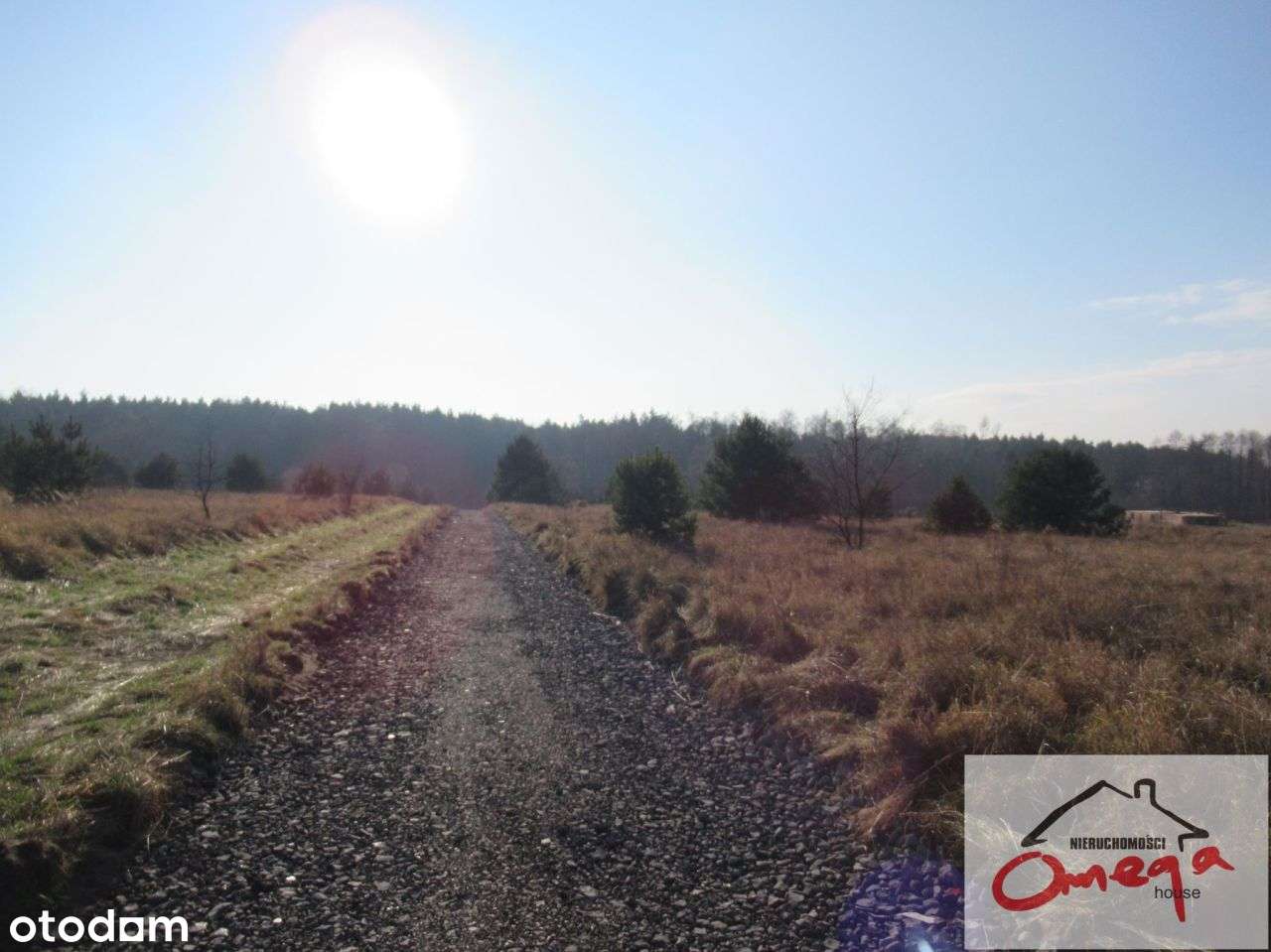 Działka, 1 000 m², Rokitno Szlacheckie - Pełny obrazek: 4/4