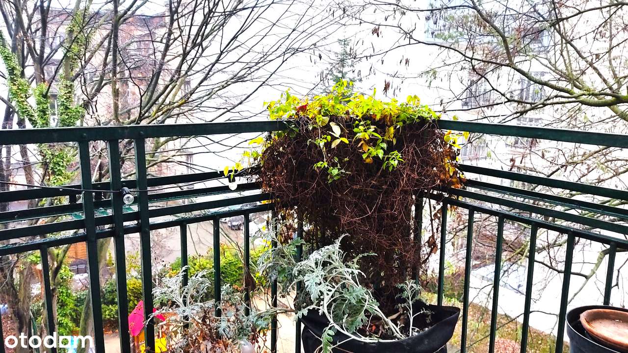 Plac Komuny Paryskiej, kamienica modernistyczna, 2 balkony-10