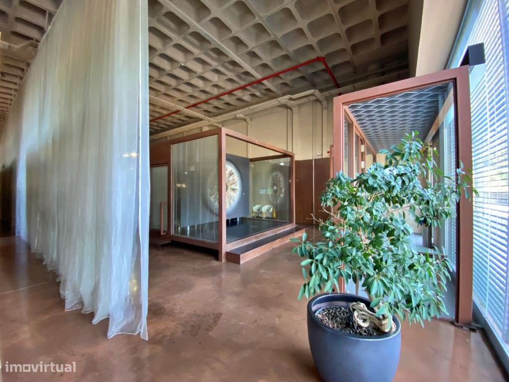 Armazém moderno com excelente localização - Grande imagem: 4/19