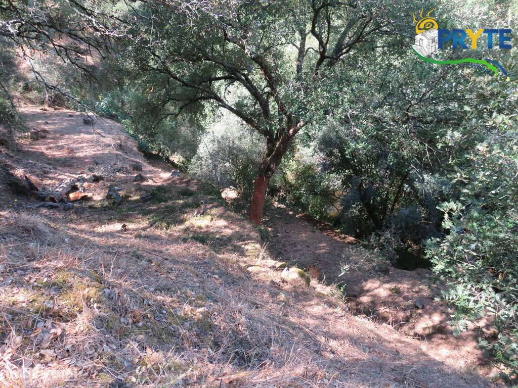 Terreno para construção inserido no aglomerado urbano da Vila da Sertã-8