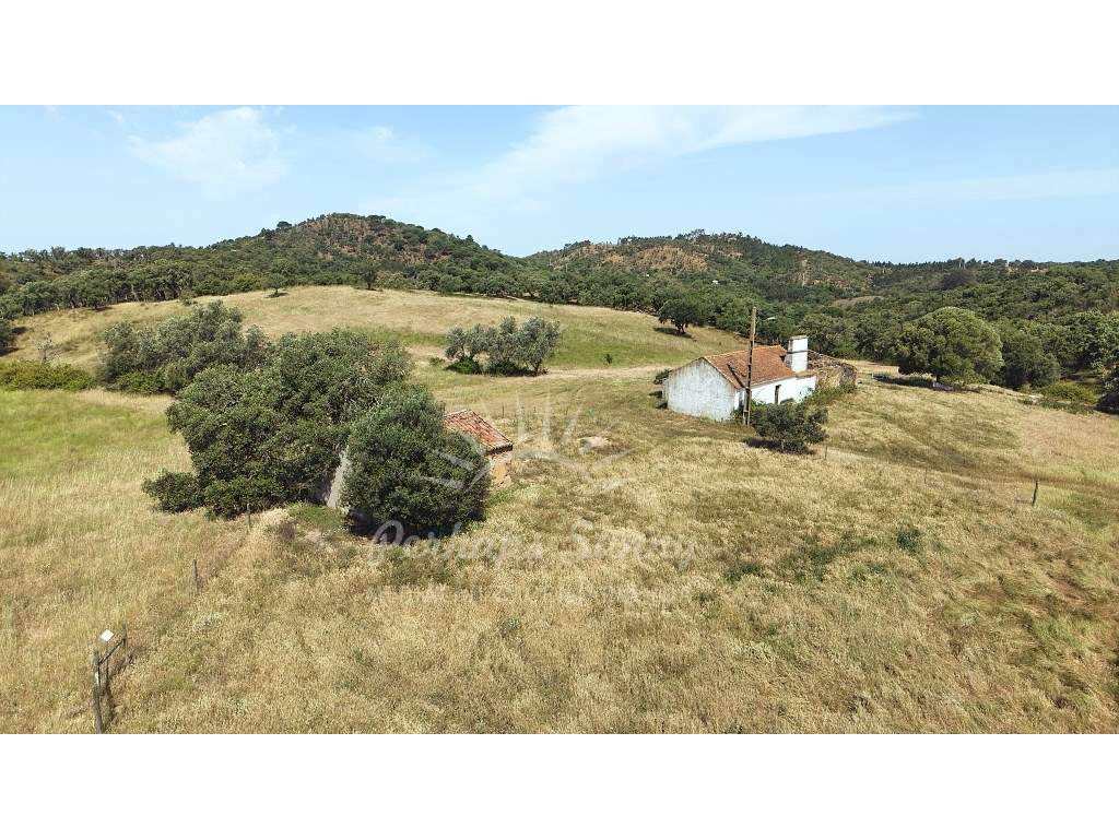 Terreno Misto - São Francisco da Serra - Melides-10