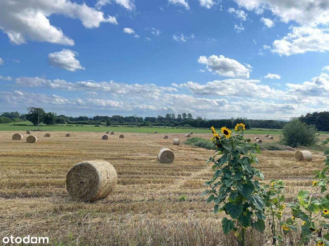 Pokaźny obiekt usługowo -mieszkalny-3