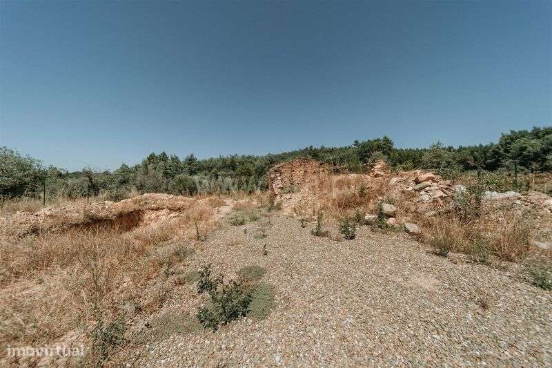 Terreno Rústico / Covilhã, Peso e Vales do Rio - Grande imagem: 5/14