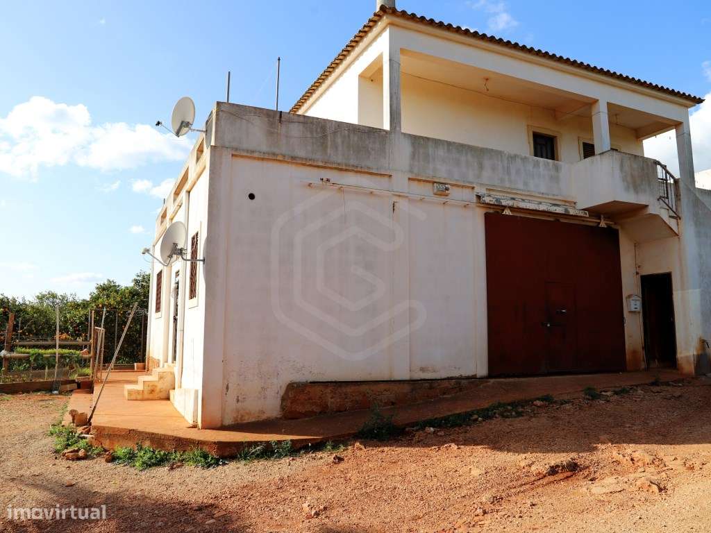 Pomar de citrinos em Produção com 80 hectares, Alte, Algarve - Grande imagem: 5/60